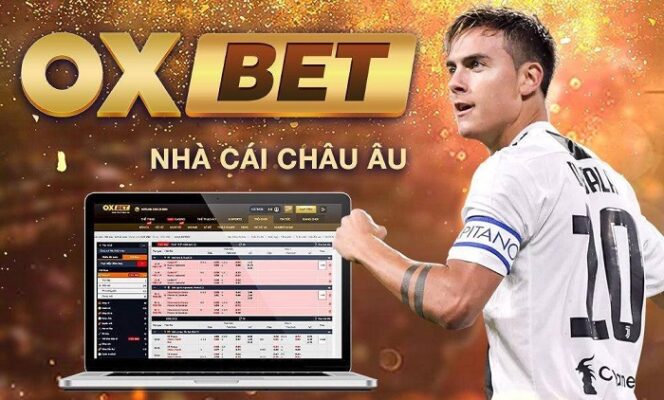 Review nhà cái Oxbet đẳng cấp, chuyên nghiệp hàng đầu hiện nay